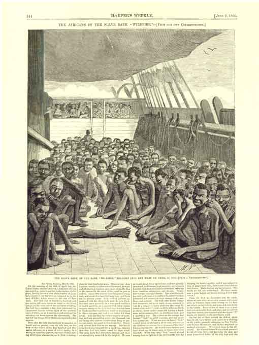 The Slave Deck of the Bark "Wildfire"