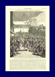 The Slave Deck of the Bark "Wildfire"